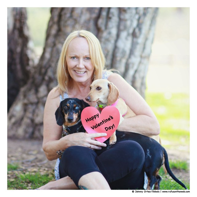 Valentine's Day Celebration | February 2015.  Photo by: Johnny Ortez-Tibbels ©