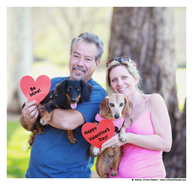 Valentine's Day Celebration | February 2015.  Photo by: Johnny Ortez-Tibbels ©