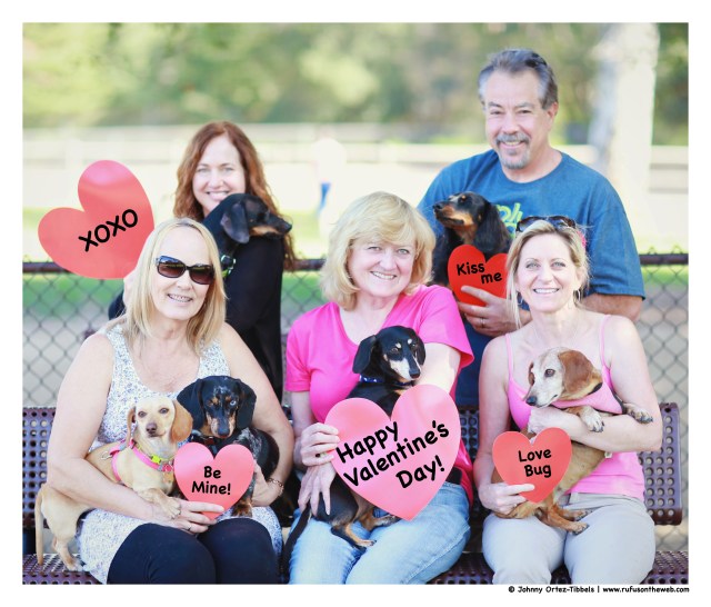 Valentine's Day Celebration | February 2015.  Photo by: Johnny Ortez-Tibbels ©