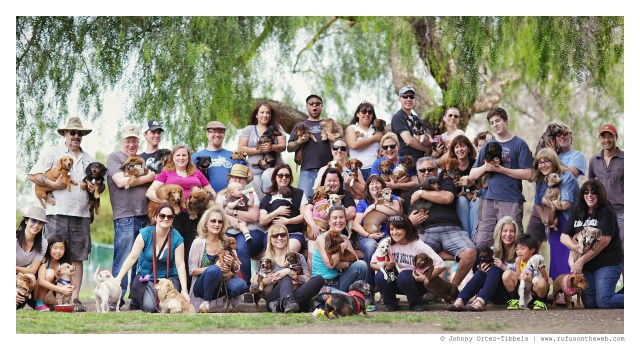 LA Doxies Monthly Meetup | March 2015.  Photo by: Johnny Ortez-Tibbels ©