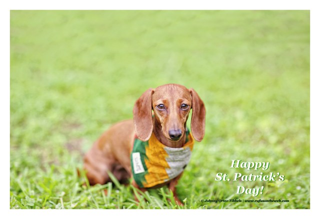 Lily | March 2015. Photo by: Johnny Ortez-Tibbels ©