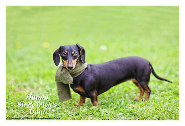 Emily | March 2015. Photo by: Johnny Ortez-Tibbels ©