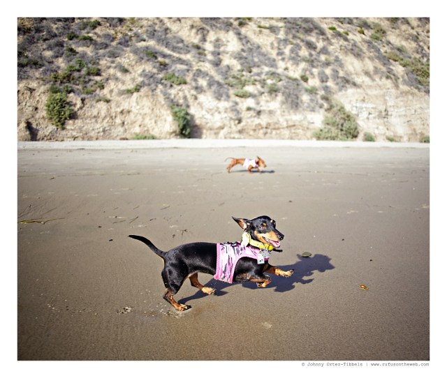 Emily | March 2015.  Photo by: Johnny Ortez-Tibbels ©