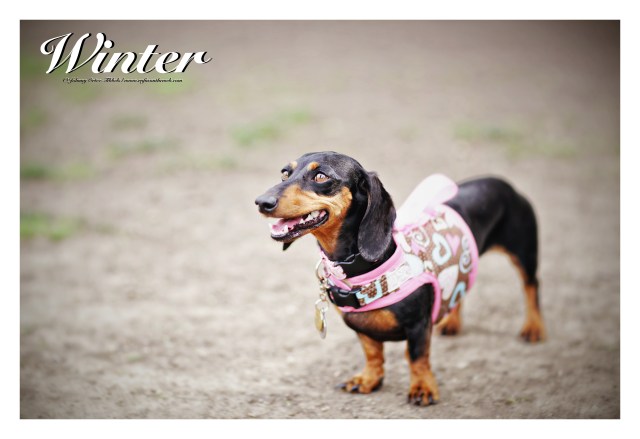 Winter | March 2015.  Photo by: Johnny Ortez-Tibbels ©