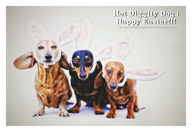 Rufus, Emily & Lily | April 2015.  Photo by: Johnny Ortez-Tibbels ©