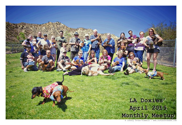LA Doxies Meetup | April 2015.  Photo by: Johnny Ortez-Tibbels ©