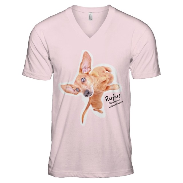 DOGS' Spring 2015 T-shirt 2.0 | April 2015.  Photo by: Johnny Ortez-Tibbels ©