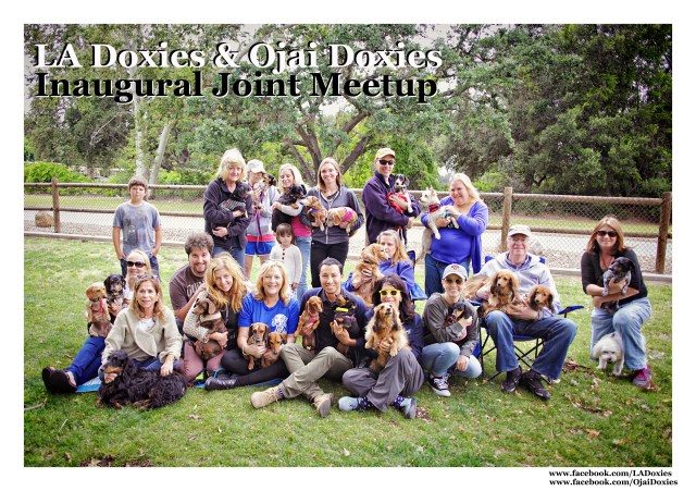 LA Doxies & Ojai Doxies Joint Meetup | May 2015.  Photo by: Johnny Ortez-Tibbels ©
