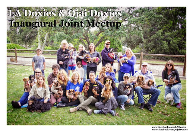 LA Doxies & Ojai Doxies Joint Meetup | May 2015.  Photo by: Johnny Ortez-Tibbels ©