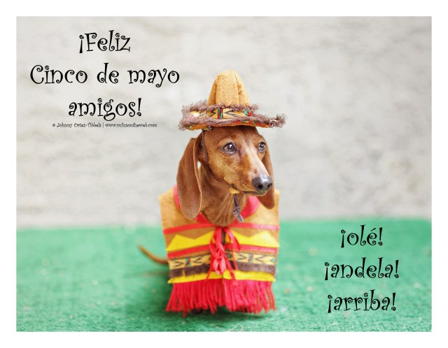 Lily | May 2015.  Photo by: Tibbels & Tibbels ©