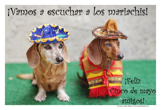 Rufus & Lily | May 2015.  Photo by: Tibbels & Tibbels ©