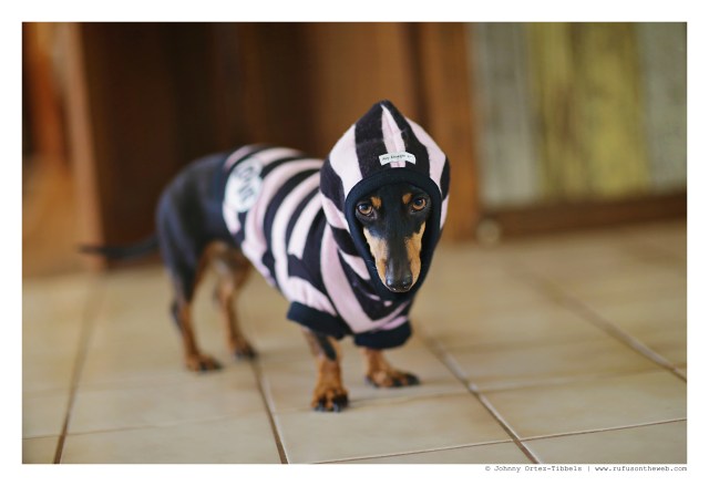 Emily | May 2015.  Photo by: Johnny Ortez-Tibbels ©