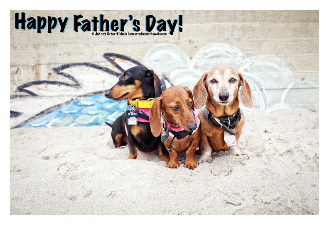 Emily, Lily & Rufus | June 2015.  Photo by: Johnny Ortez-Tibbels ©