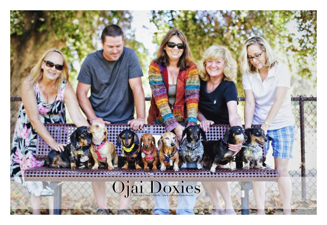 Ojai Doxies' Monthly Meetup | June 2015. Photo by: Johnny Ortez-Tibbels ©