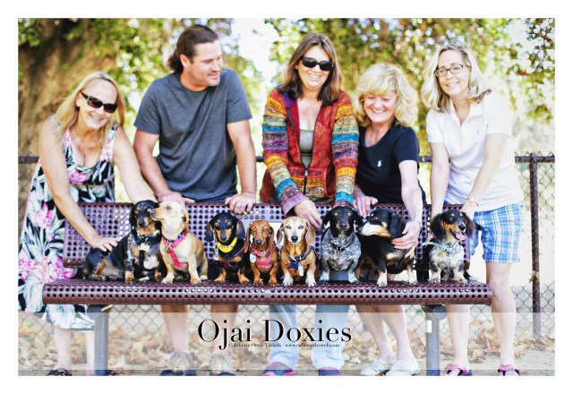 Ojai Doxies' Monthly Meetup | June 2015. Photo by: Johnny Ortez-Tibbels ©