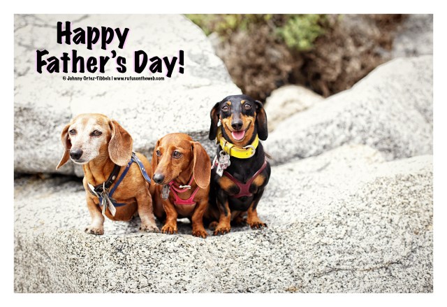 Rufus, Lily & Emily | June 2015.  Photo by: Johnny Ortez-Tibbels ©