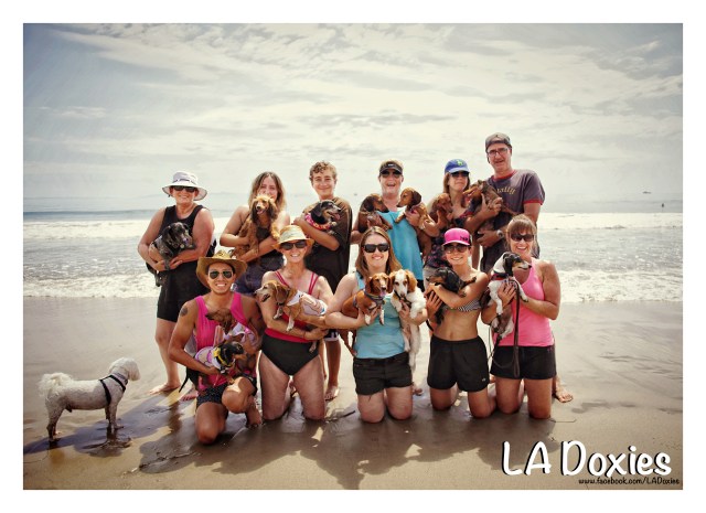 Monthly Meetup | July 2015.  Photo by: Johnny Ortez-Tibbels ©