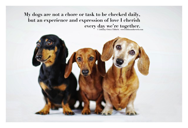 Not a Chore composite by: Johnny Ortez-Tibbels ©