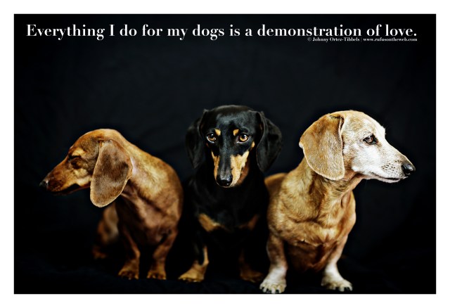 Not a Chore composite by: Johnny Ortez-Tibbels ©