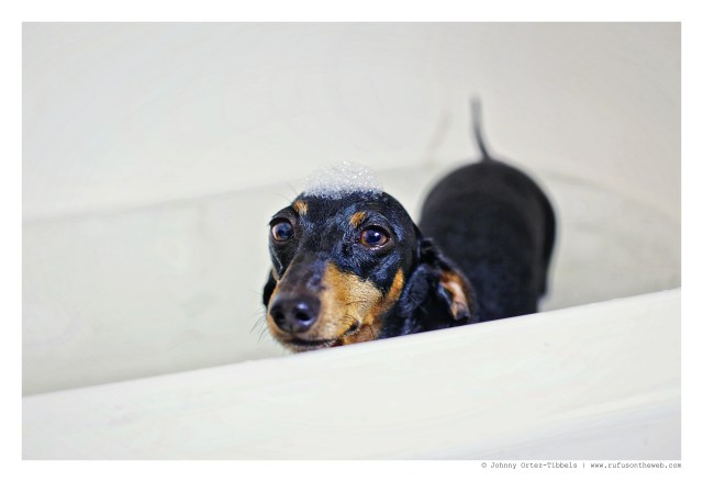 Emily | July 2015.  Photo by: Johnny Ortez-Tibbels ©