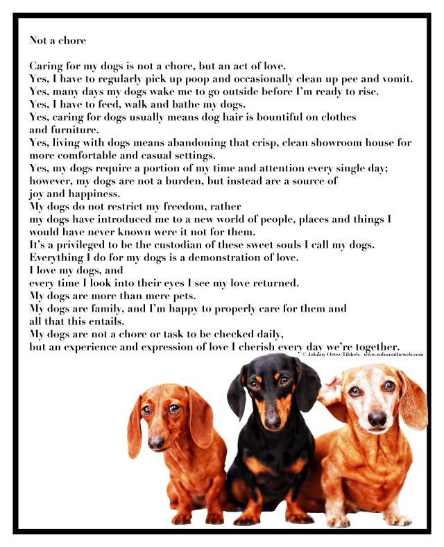 Not a Chore by: Johnny Ortez-Tibbels ©