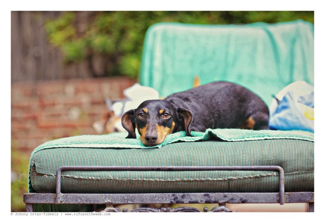 Emily Sue | August 2015. Photo by: Johnny Ortez-Tibbels ©