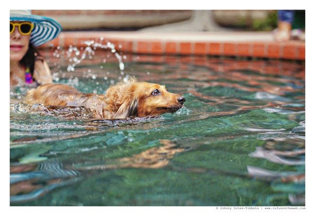 Sophie | August 2015. Photo by: Johnny Ortez-Tibbels ©