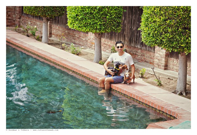 Rufus, Emily & Lily with their human | August 2015. Photo by: Goodman & Tibbels ©