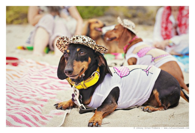 Emily Sue | August 2015.  Photo by: Johnny Ortez-Tibbels ©