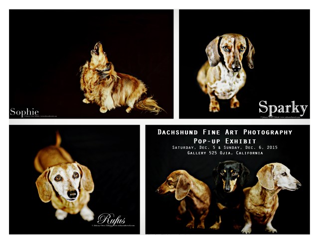 Photos by: Johnny Ortez-Tibbels ©