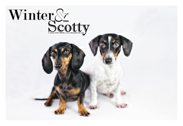 Winter & Scotty | September 2012. Photo by: Johnny Ortez-Tibbels ©