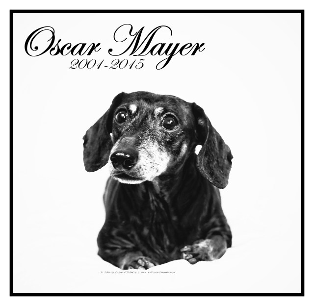 Oscar Mayer Tribute | September 2015.  Photo by: Johnny Ortez-Tibbels ©