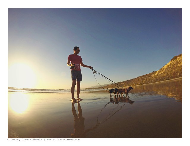 Dachshund Pack October Beach Day | October 2015. Photo by: Johnny Ortez-Tibbels ©