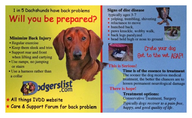 Dodger's List www.dodgerslist.com/