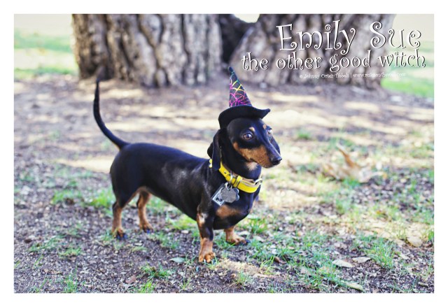 Emily Sue | October 2015. Photo by: Johnny Ortez-Tibbels ©