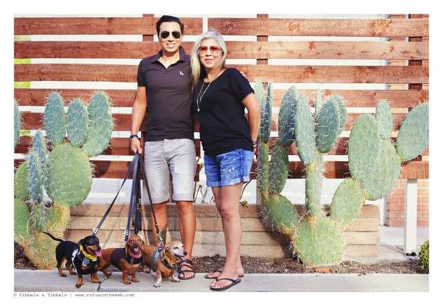 Grandma, son and grandpups | October 2015.  Photo by: Johnny Ortez-Tibbels ©