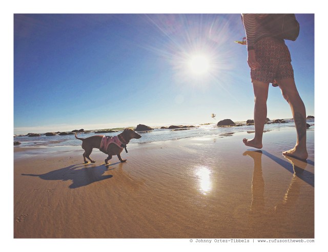 Lily Blossom | November 2015. Photo by: Johnny Ortez-Tibbels ©