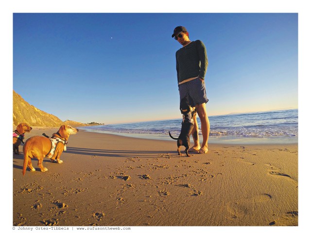 Lily, Rufus, Emily & their human | November 2015. Photo by: Johnny Ortez-Tibbels ©