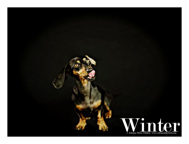 Winter | September 2015. Photo by: Johnny Ortez-Tibbels ©