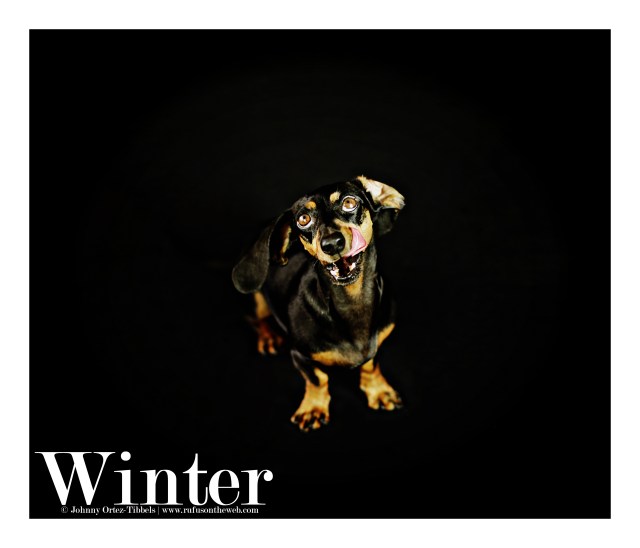 Winter | September 2015. Photo by: Johnny Ortez-Tibbels ©