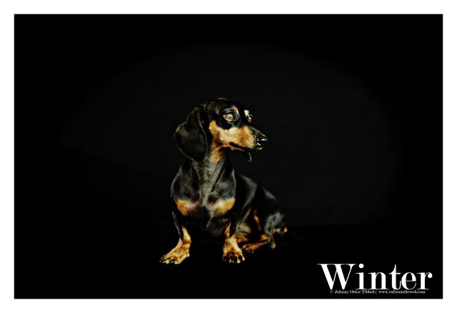 Winter | September 2015. Photo by: Johnny Ortez-Tibbels ©