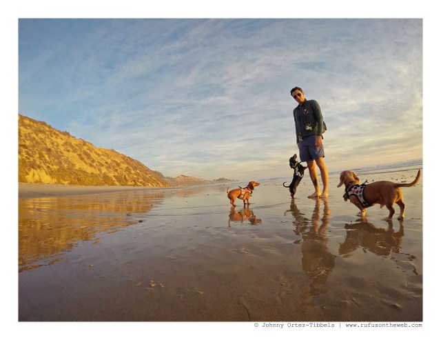 Dachshunds & their human on the beach at sunset | December 2015. Photo by: Johnny Ortez-Tibbels ©