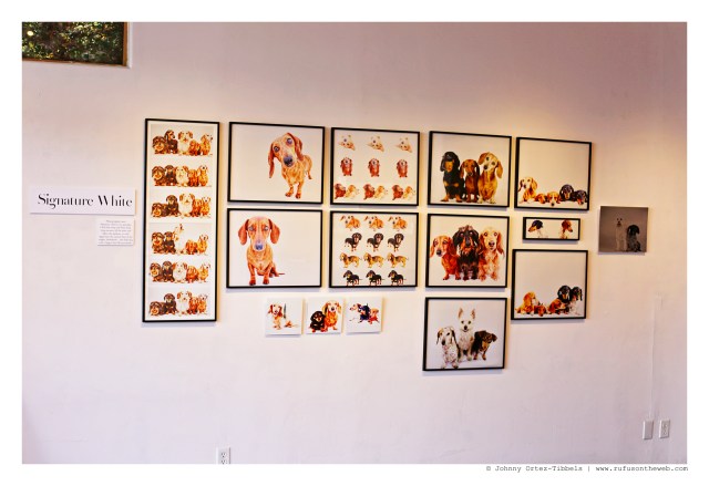 Signature White Exhibit | December 2015. Photo by: Johnny Ortez-Tibbels ©