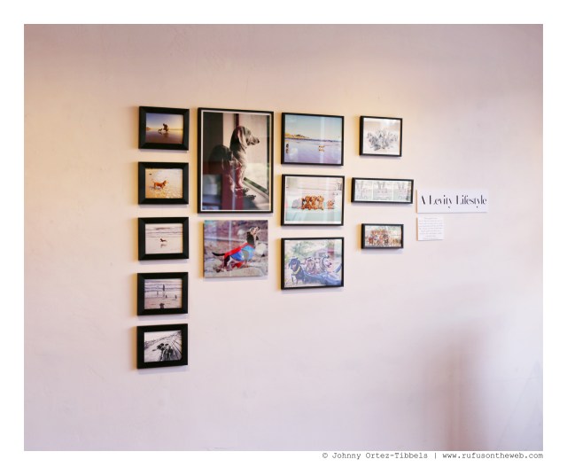 A Levity Lifestyle Exhibit | December 2015. Photo by: Johnny Ortez-Tibbels ©