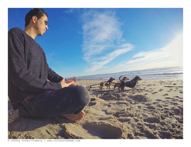 Lily, Rufus, Emily & their human | January 2016. Photo by: Johnny Ortez-Tibbels ©