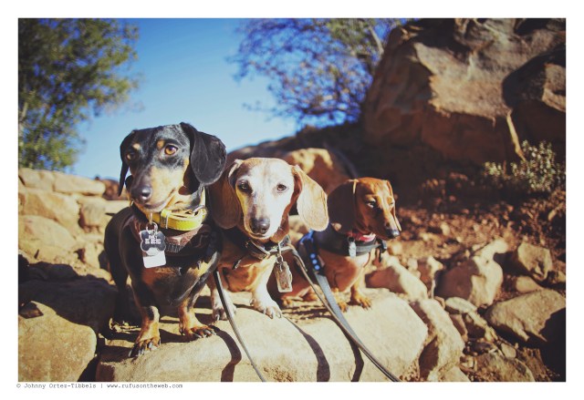 Emily, Rufus & Lily | January 2015. Photo by: Johnny Ortez-Tibbels ©