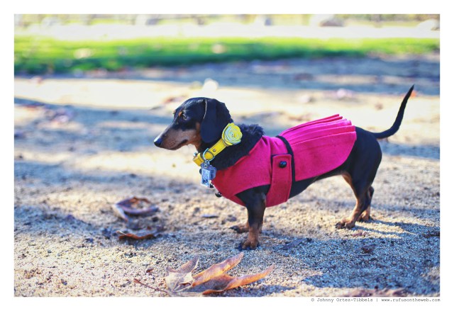 Emily | December 2014. Photo by: Johnny Ortez-Tibbels ©