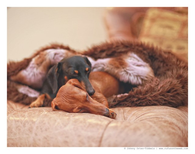 Emily & Lily | 2013. Photo by: Johnny Ortez-Tibbels ©