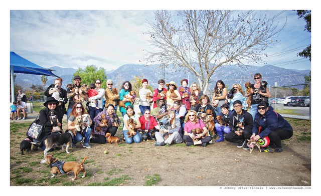 LA Doxies' Monthly Meetup | January 2016. Photo by: Johnny Ortez-Tibbels ©