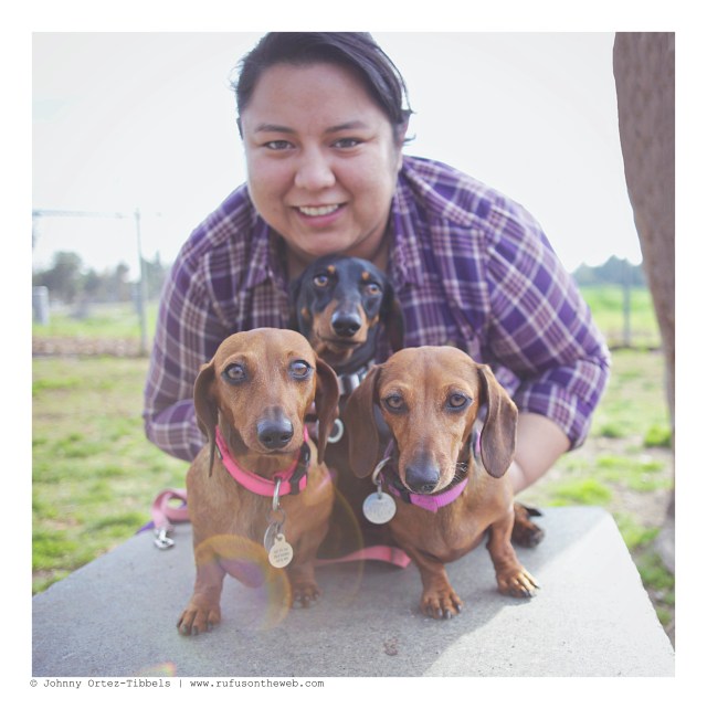 LA Doxies' Monthly Meetup | January 2016. Photo by: Johnny Ortez-Tibbels ©